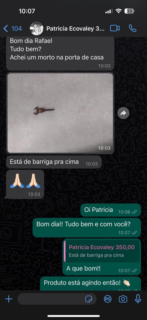 Conversa real de WhatsApp com Patricia Ecovaley