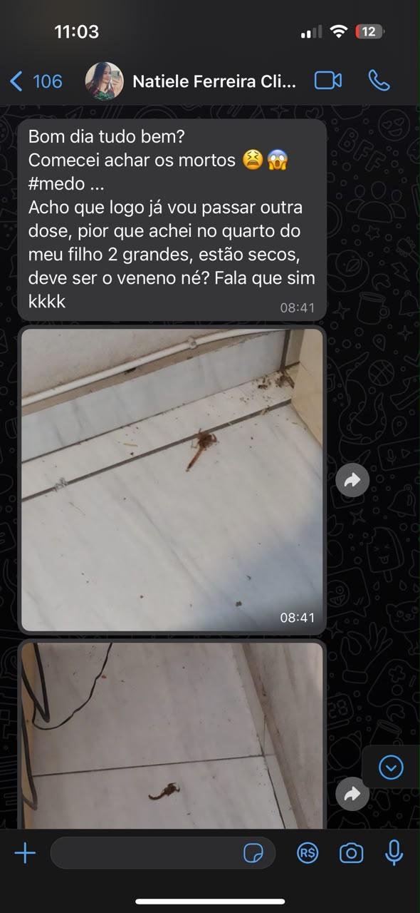 Conversa real de WhatsApp com Natiele Ferreira