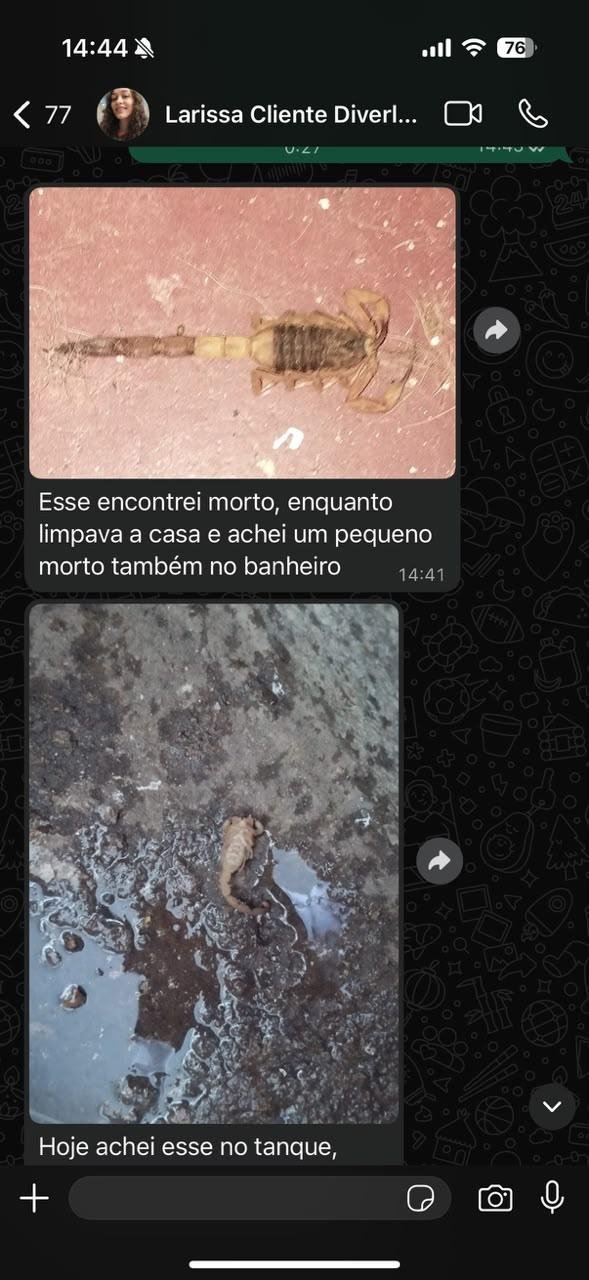 Conversa real de WhatsApp com Larissa