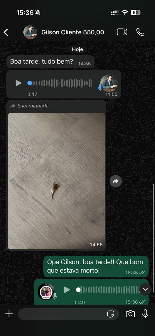 Conversa real de WhatsApp com Gilson