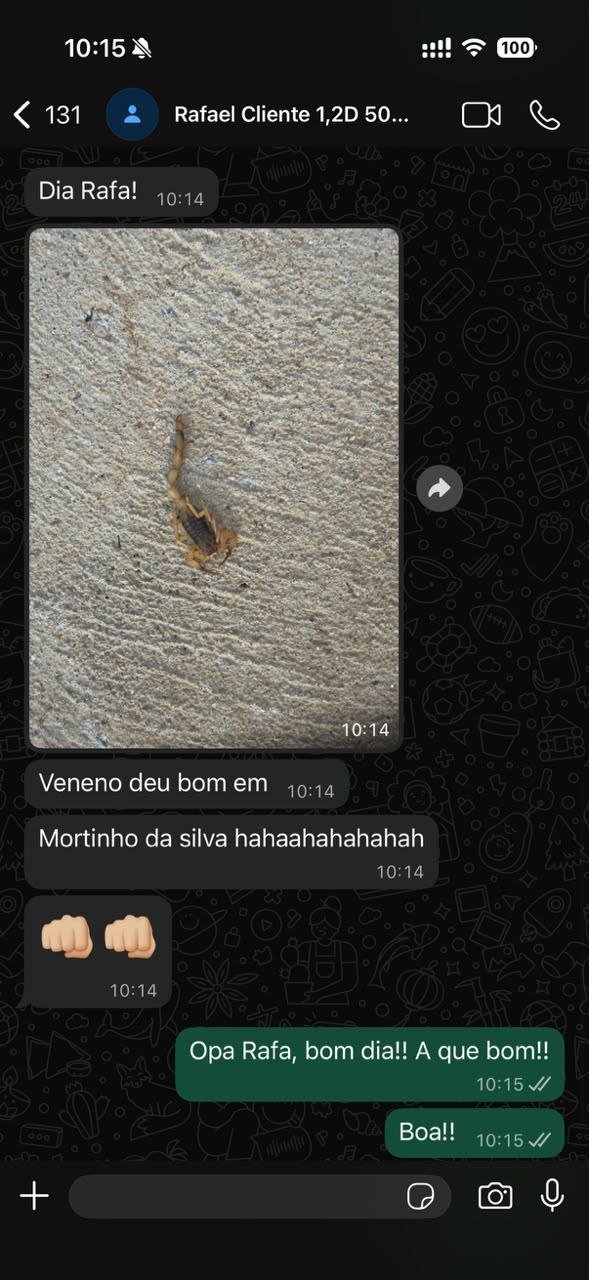 Conversa real de WhatsApp com Rafael